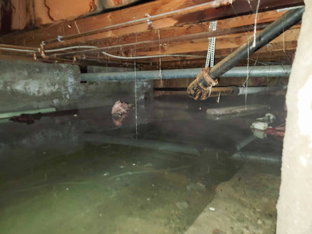 Best Water damage restoration specialists  in Waterville, ME