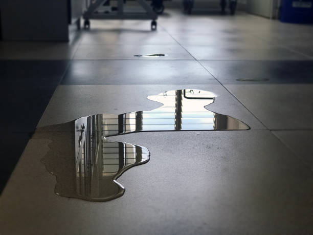 Professional Water damage restoration in ME